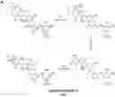 Fig. 01 - Compounds as potential therapeutic agents targeting various neurodegenerative diseases