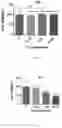 Fig. 04 - Compounds as potential therapeutic agents targeting various neurodegenerative diseases