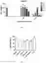 Fig. 06 - Compounds as potential therapeutic agents targeting various neurodegenerative diseases