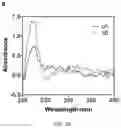 Fig. 08 - Compounds as potential therapeutic agents targeting various neurodegenerative diseases