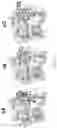 Fig. 12 - Compounds as potential therapeutic agents targeting various neurodegenerative diseases