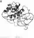 Fig. 22 - Compounds as potential therapeutic agents targeting various neurodegenerative diseases