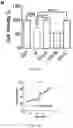 Fig. 35 - Compounds as potential therapeutic agents targeting various neurodegenerative diseases