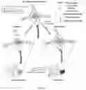 Fig. 45 - Compounds as potential therapeutic agents targeting various neurodegenerative diseases
