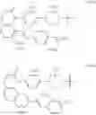 Fig. 33 - Degradation of cyclin-dependent kinase 8 (CDK8) by conjugation of CDK8 inhibitors with E3 ligase ligand and methods of use