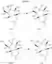Fig. 191 - COMPOUNDS TARGETING PRMT5