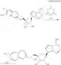 Fig. 211 - COMPOUNDS TARGETING PRMT5