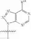 Fig. 307 - COMPOUNDS TARGETING PRMT5