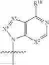 Fig. 313 - COMPOUNDS TARGETING PRMT5