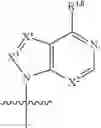 Fig. 34 - COMPOUNDS TARGETING PRMT5