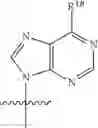 Fig. 35 - COMPOUNDS TARGETING PRMT5