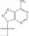 Fig. 64 - COMPOUNDS TARGETING PRMT5