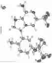 Fig. 18 - Crystalline forms of a phosphoinositide 3-kinase (PI3K) inhibitor