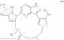 Fig. 05 - Macrocyclic inhibitors of DYRK1A