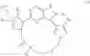 Fig. 06 - Macrocyclic inhibitors of DYRK1A