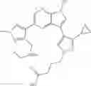 Fig. 169 - Macrocyclic inhibitors of DYRK1A