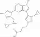 Fig. 171 - Macrocyclic inhibitors of DYRK1A