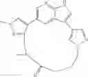 Fig. 174 - Macrocyclic inhibitors of DYRK1A