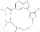 Fig. 178 - Macrocyclic inhibitors of DYRK1A