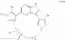 Fig. 20 - Macrocyclic inhibitors of DYRK1A