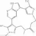 Fig. 208 - Macrocyclic inhibitors of DYRK1A