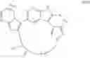Fig. 272 - Macrocyclic inhibitors of DYRK1A