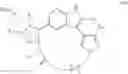 Fig. 31 - Macrocyclic inhibitors of DYRK1A