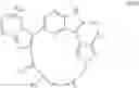Fig. 57 - Macrocyclic inhibitors of DYRK1A