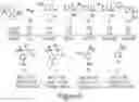 Fig. 10 - Small molecules active against gram-negative bacteria