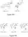Fig. 11 - Small molecules active against gram-negative bacteria