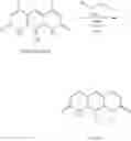 Fig. 145 - Small molecules active against gram-negative bacteria
