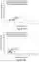 Fig. 17 - Small molecules active against gram-negative bacteria