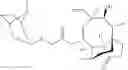 Fig. 43 - Small molecules active against gram-negative bacteria