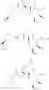 Fig. 61 - Small molecules active against gram-negative bacteria