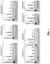 Fig. 02 - SUBSTITUTED DIHYDROPYRANOPYRIMIDINE COMPOUNDS AS KRAS INHIBITORS
