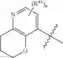 Fig. 104 - Heteroaryl modulators of RAS GTPase