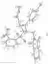Fig. 03 - METHOD FOR SYNTHESIS OF DIAZABICYCLO[6.2.0]DECANE RELATED COMPOUNDS
