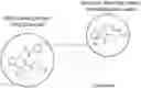 Fig. 01 - Imide-based modulators of proteolysis and associated methods of use