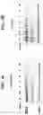 Fig. 10 - Imide-based modulators of proteolysis and associated methods of use