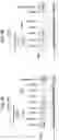 Fig. 11 - Imide-based modulators of proteolysis and associated methods of use