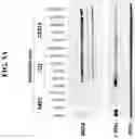 Fig. 13 - Imide-based modulators of proteolysis and associated methods of use