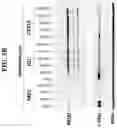 Fig. 14 - Imide-based modulators of proteolysis and associated methods of use