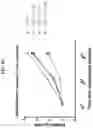 Fig. 18 - Imide-based modulators of proteolysis and associated methods of use
