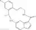 Fig. 119 - DIARYL MACROCYCLES AS MODULATORS OF PROTEIN KINASES