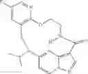 Fig. 130 - DIARYL MACROCYCLES AS MODULATORS OF PROTEIN KINASES
