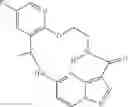 Fig. 131 - DIARYL MACROCYCLES AS MODULATORS OF PROTEIN KINASES
