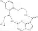 Fig. 158 - DIARYL MACROCYCLES AS MODULATORS OF PROTEIN KINASES