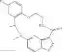 Fig. 169 - DIARYL MACROCYCLES AS MODULATORS OF PROTEIN KINASES