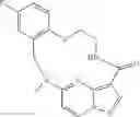 Fig. 173 - DIARYL MACROCYCLES AS MODULATORS OF PROTEIN KINASES