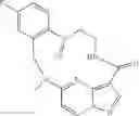 Fig. 175 - DIARYL MACROCYCLES AS MODULATORS OF PROTEIN KINASES